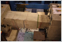 ��B��w�������r�ϐk�⋭����